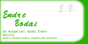 endre bodai business card